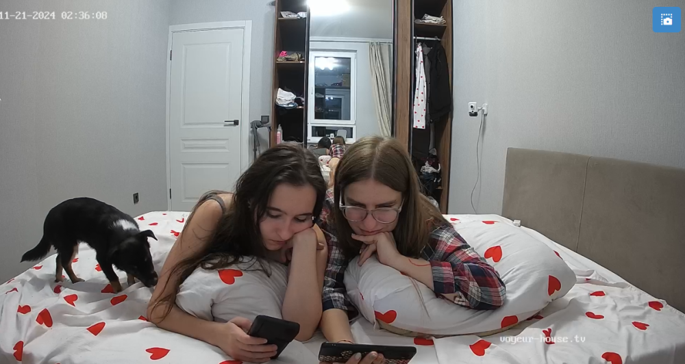 bandicam 2024-11-21 12-34-25-564.png