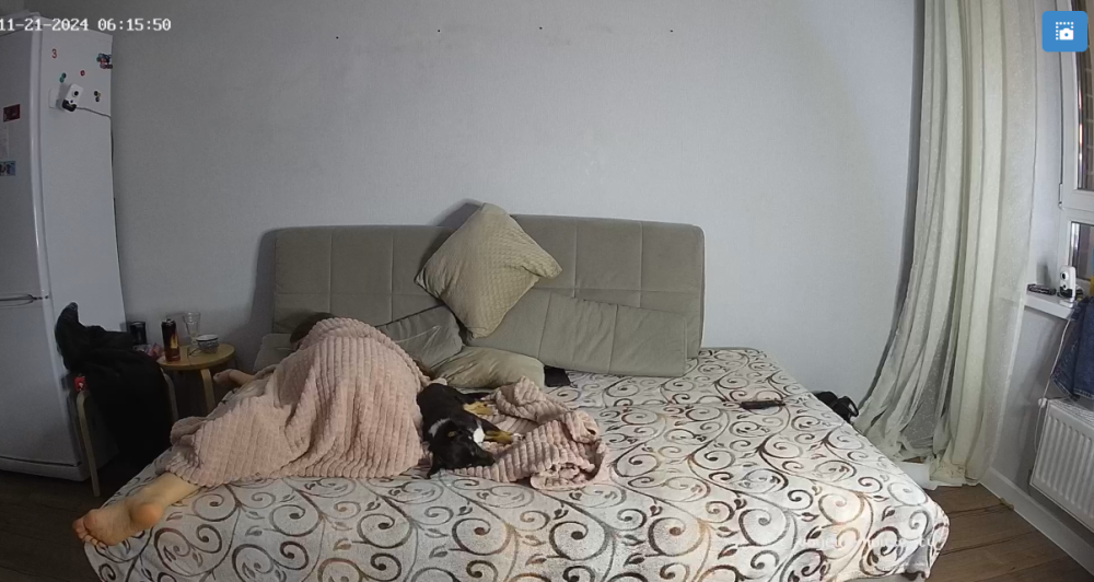 bandicam 2024-11-21 12-42-06-293.png