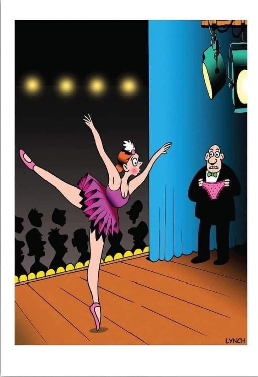 FUNNY CARTOON 96.jpg