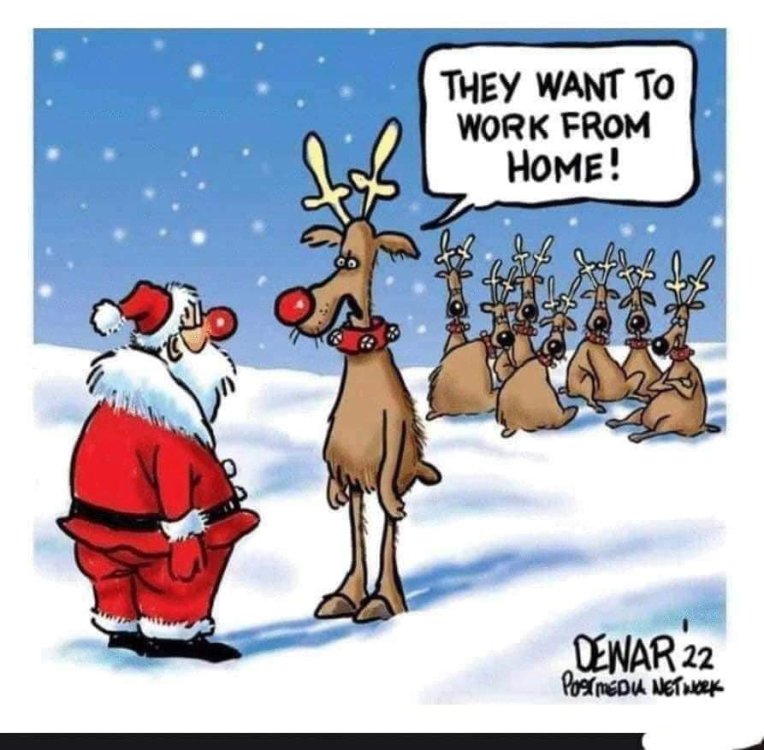 FUNNY CARTOON 97.jpg