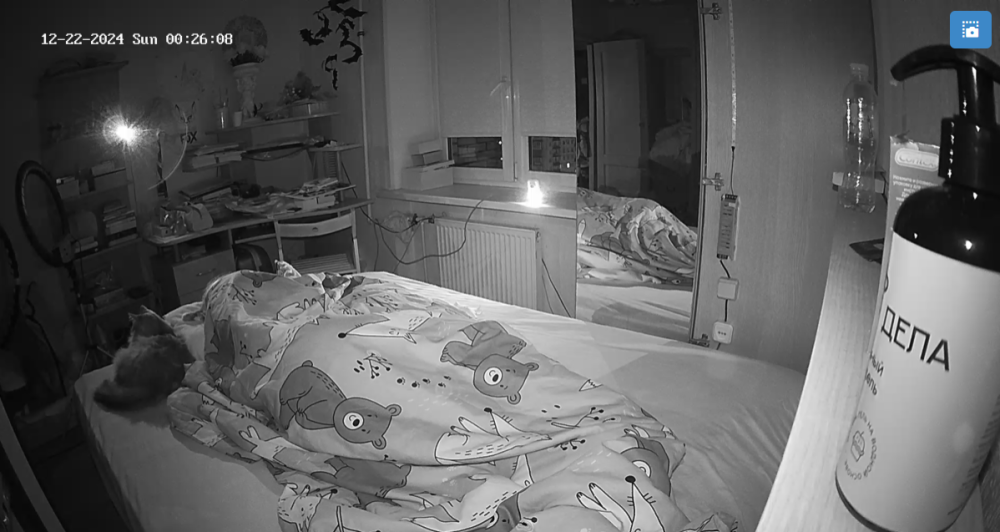 bandicam 2024-12-22 08-55-42-852.png