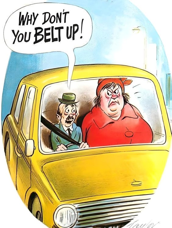 FUNNY CARTOON 107.jpg