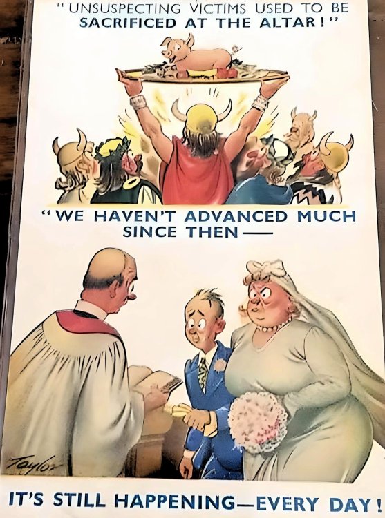 FUNNY CARTOON 109.jpg