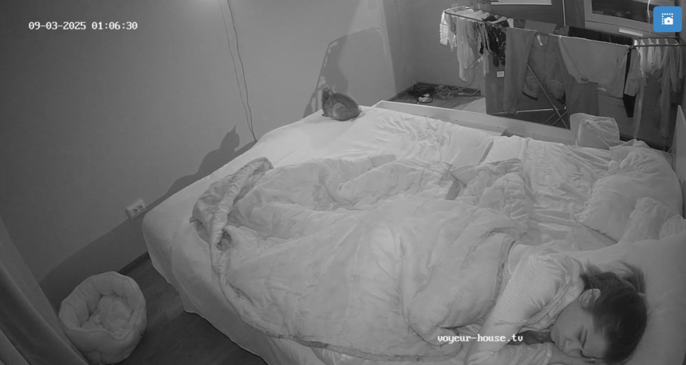 bandicam 2025-09-03 01-41-38-854.png