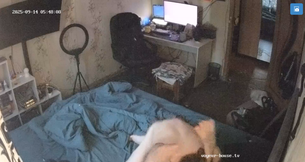 bandicam 2025-09-13 23-16-31-225.png