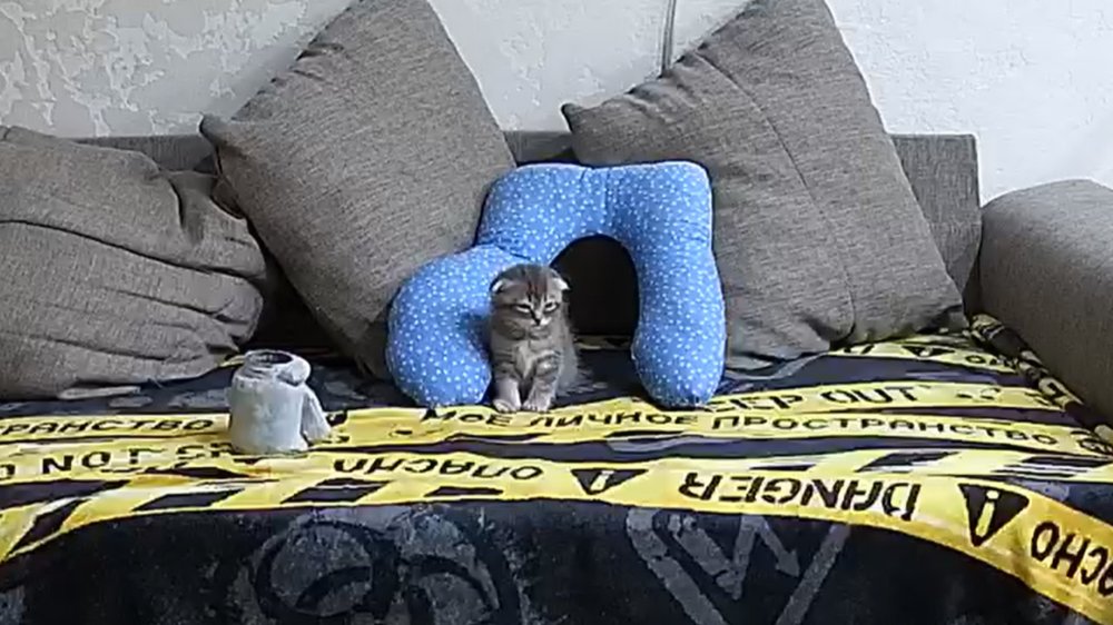 Noldus 2026-03-26 20-40-03-410.jpg